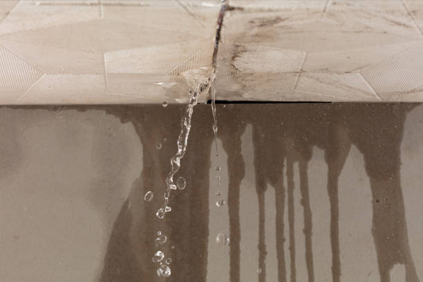Professional Water Damage Inspection technician working in Key Largo, FL